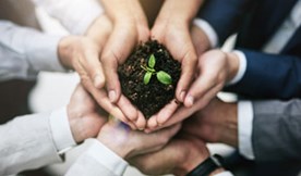 Sustentabilidade